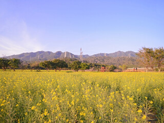 鹏城美丽乡村生态园