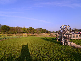 鹏城美丽乡村生态园