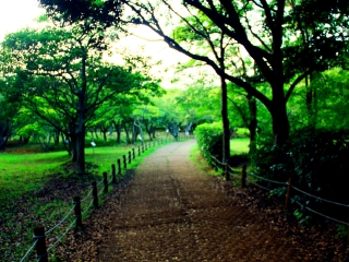 汉拿山国立公园