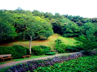 汉拿山国立公园