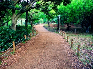 汉拿山国立公园