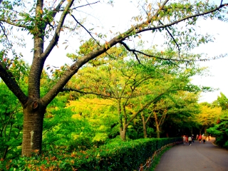 汉拿山国立公园