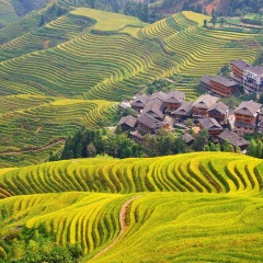柳州