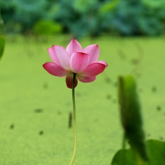 东湖风景区
