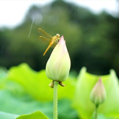 东湖风景区