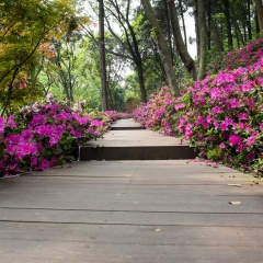 东湖风景区