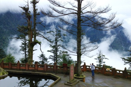 <峨眉山+乐山+都江堰+熊猫基地双飞6日游>成都一天自由活动，二进峨眉，品尝集乐山网红餐厅口福跷脚牛肉