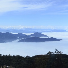 小交通模块 