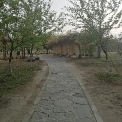 南溪山公园的#旅图换旅费# #骑行# #自然风光#