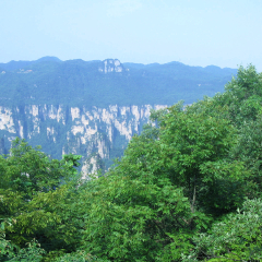 贺龙公园的#旅图换旅费#