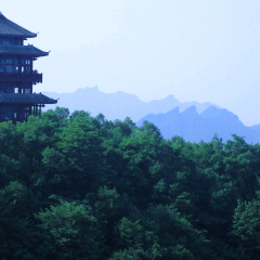 贺龙公园的#旅图换旅费#