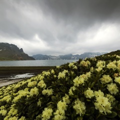 天池