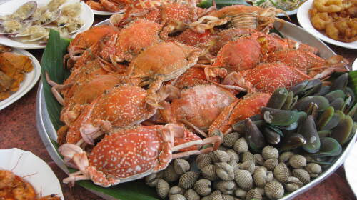  阳江闸坡海陵岛2日游>宿颐景花园度假公寓酒店或其他备选酒店 近距离