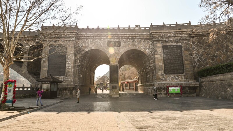 探春#猫猫游河南 说走就走 高铁一日洛阳龙门石窟