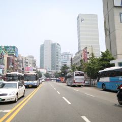 马路