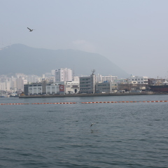 码头