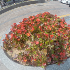 街上