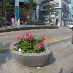 街上
