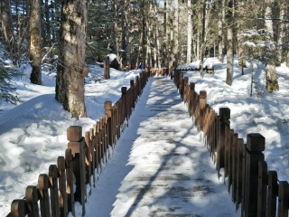 长白山西坡景区