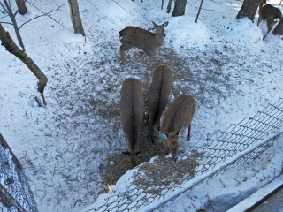 长白山西坡景区