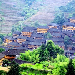 金坑梯田的#旅图换旅费#