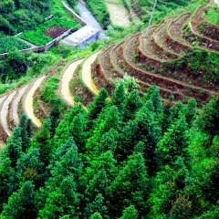 金坑梯田的#旅图换旅费#