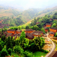 金坑梯田的#旅图换旅费#