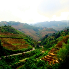 金坑梯田的#旅图换旅费#