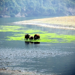 桂林漓江精华漂流的#旅图换旅费#