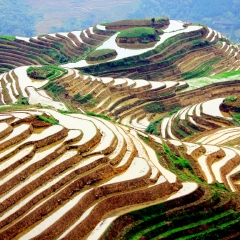 龙脊梯田的#旅图换旅费#