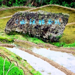 龙脊梯田的#旅图换旅费#