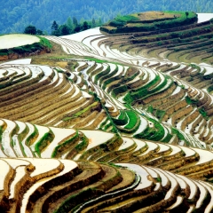 龙脊梯田的#旅图换旅费#
