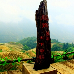 龙脊梯田的#旅图换旅费#