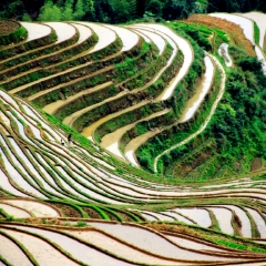 龙脊梯田的#旅图换旅费#