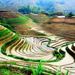 龙脊梯田的#旅图换旅费#