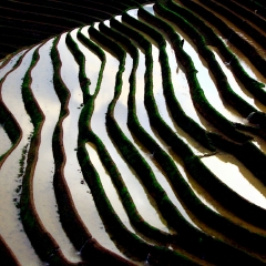 龙脊梯田的#旅图换旅费#