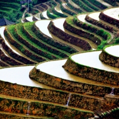 龙脊梯田的#旅图换旅费#