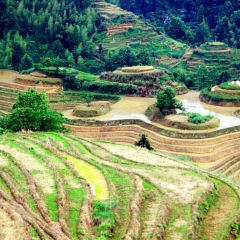 龙脊梯田的#旅图换旅费#