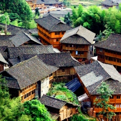 龙脊梯田的#旅图换旅费#