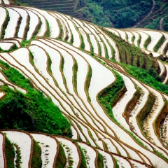 龙脊梯田的#旅图换旅费#