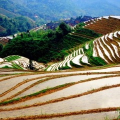 龙脊梯田的#旅图换旅费#