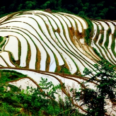 龙脊梯田的#旅图换旅费#