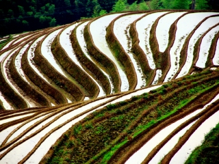 龙脊梯田