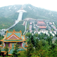 南山大佛的#旅图换旅费#