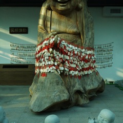 普陀山风景区
