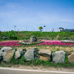 牛岛的#旅图换旅费# #岛屿# #自然风光#