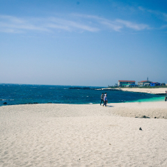牛岛的#旅图换旅费# #自然风光# #岛屿#