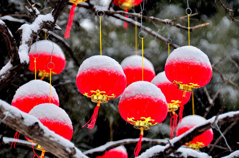 瑞雪 古刹 红灯笼