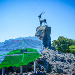 山君不离的#旅图换旅费# #自然风光# #春景#