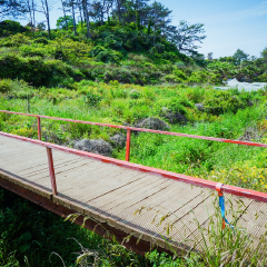 偶来小路的#旅图换旅费# #户外游# #自然风光#